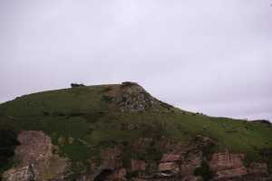 HARINGTON-POINT-DUNEDIN (47)